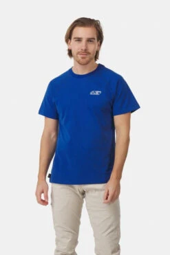 Looking For Wild Cinto