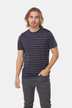 Icebreaker Wave Stripe T-shirt