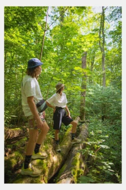 Foxy Merino Wool Wandelsok -Meindl Fietsshirts Winkel a22dab0011 4173 04 nl